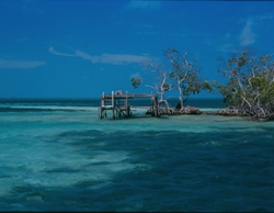 Ambergris lobster stand
