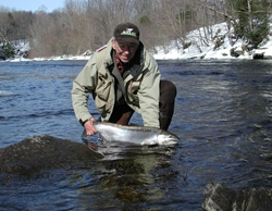 Dave Marcy releasing steelhead