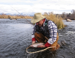 Steamboat Trout