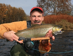 Another beautiful brown