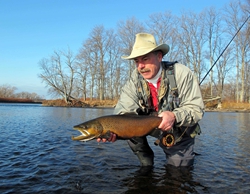 Salmon River brown trout
